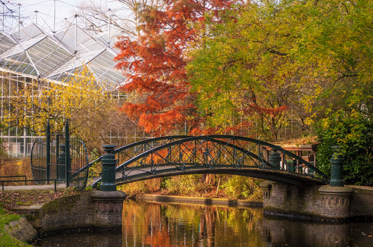 Photo of a bridge at the Hortus Botanicus